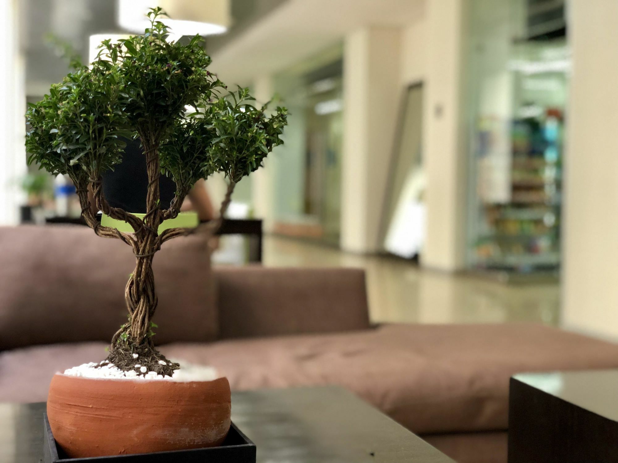 Boutique Apartment Puerta Alameda-801 Мехико Экстерьер фото
